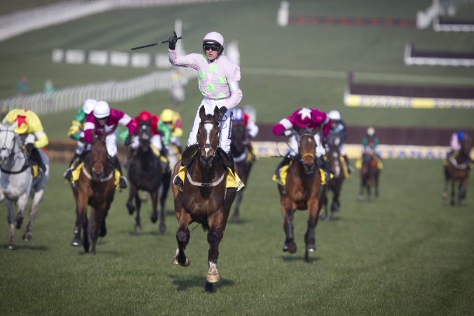 Cheltenham Auftakt: Favorit Melon hat deutsche Mutter