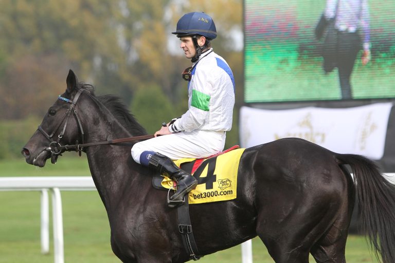 Ciocco Wonder Zweite in Schweizer 1000 Guineas
