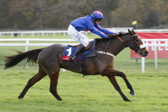 cue_card