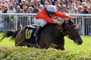 danedream_hoppegarten_2_2