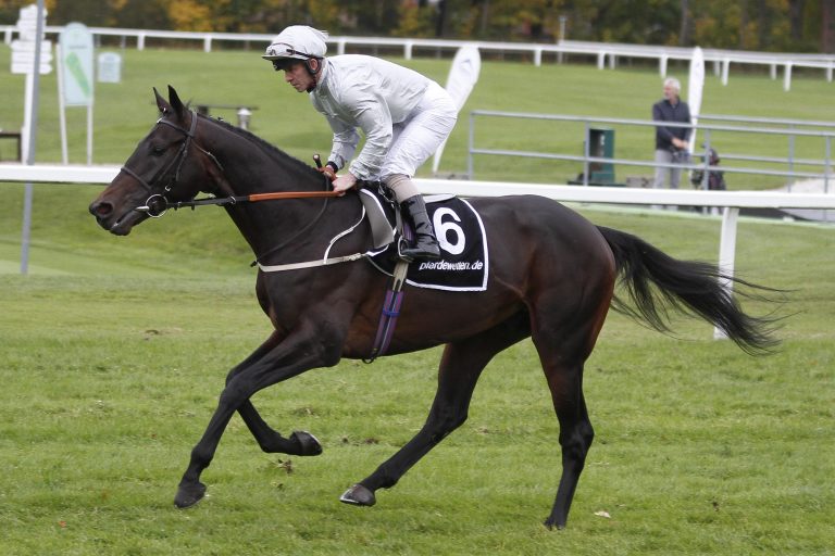 Probe für den Ascot Gold Cup