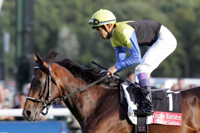 Neuer Stallion! Deep Impact-Sohn im Lindenhof