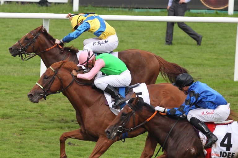 Savoir Vivre geht in den Prix de l’Arc de Triomphe Savoir Vivre geht in den Prix de l’Arc de Triomphe