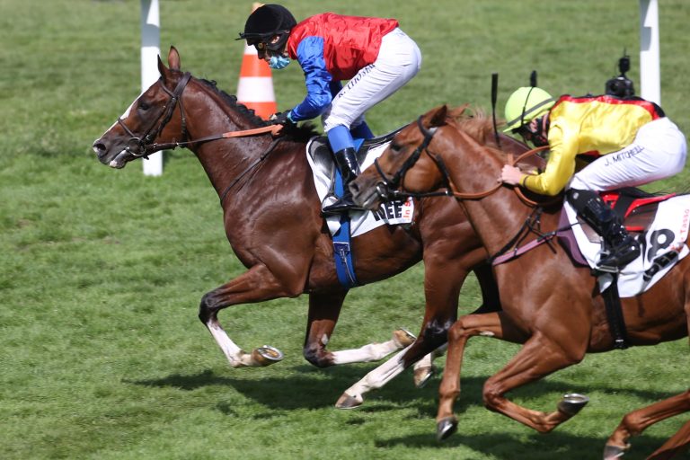 Auenquelle-Team megahappy mit Platz zwei