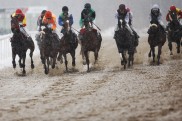 Dortmund: 26 Nichtstarter und Strafen f?r Rittabsage-Reiter