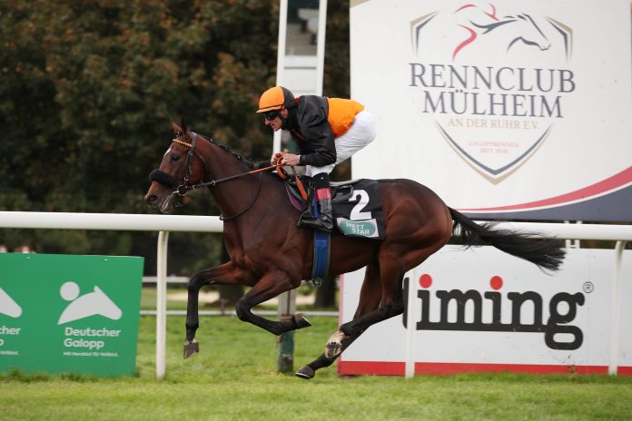 Dolcetto