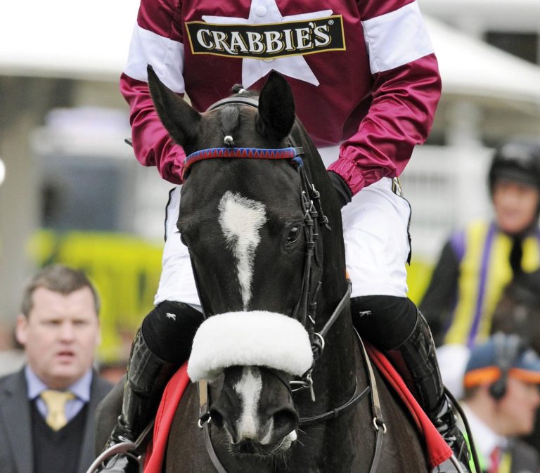 Etzeaner Don Cossack Favorit in Punchestown
