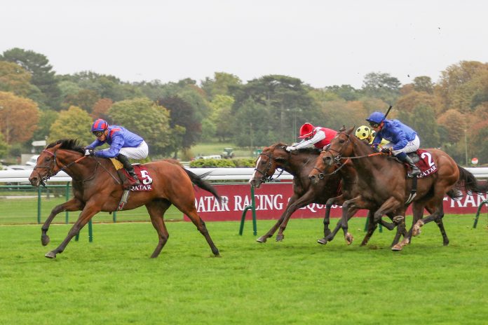 dubai_honour