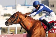 Nun ins Sheema: Das sagt Dettori ?ber den Ex-Deutschen