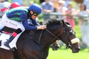 Kandahar Run und Wiesenpfad neu bei Stallions-Online.de