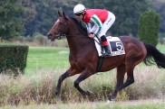 Dienstag hat es in sich: Zazou trifft auf Cirrus Des Aigles!