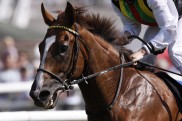Durban Thunder der Favorit in Dortmunds Gruppe-Event