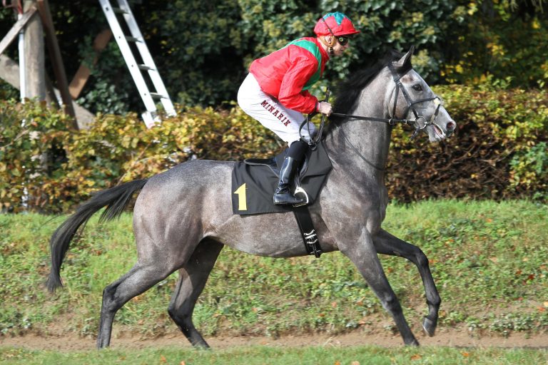 Dusky Dance wird Neunter im Prix Herod