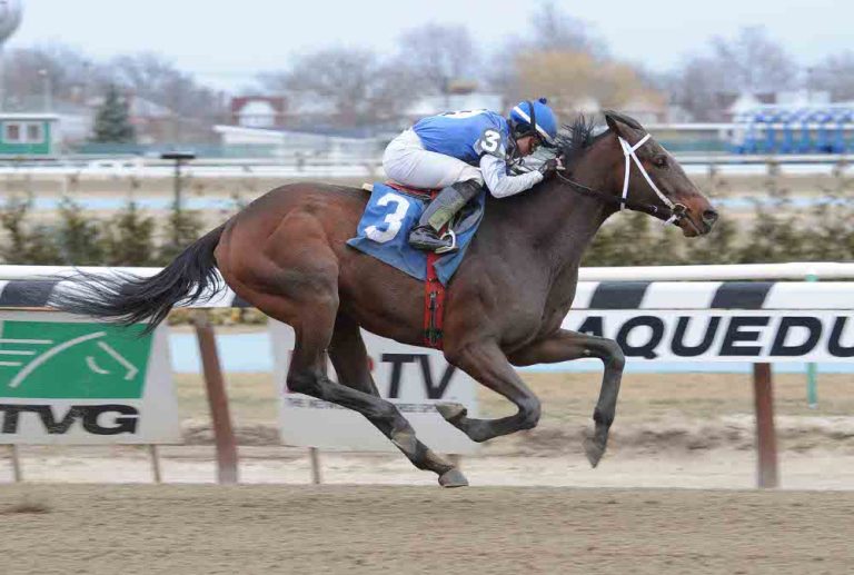 Effinex muss im Clark Handicap alles geben