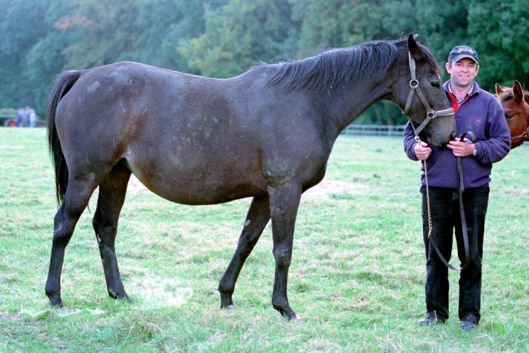 Das letzte Foto der großen Elle Danzig Das letzte Foto der großen Elle Danzig