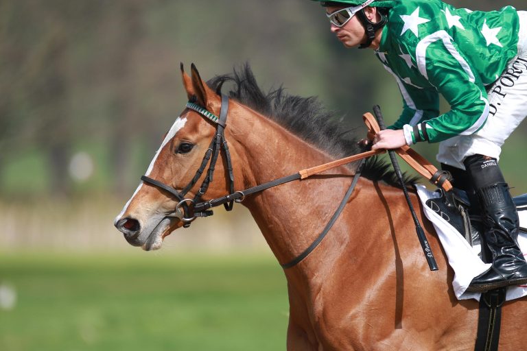 Emerald Star Sechste beim US-Debüt in Santa Anita
