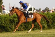 Eine deutsche Lady gegen die Superstute Goldikova