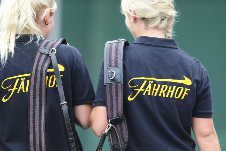 Fährhofer Jährlings-Duo bei der Tattersalls December Yearling Sale
