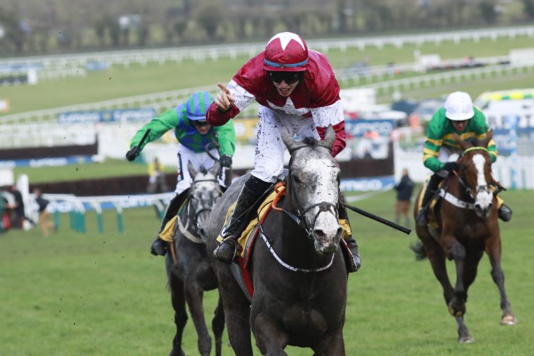 Triumph Hurdle-Sieger aus Auenqueller Stute Triumph Hurdle-Sieger aus Auenqueller Stute