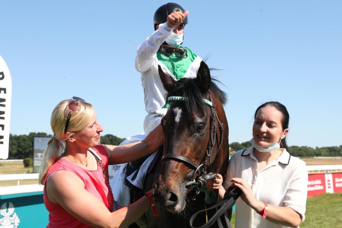 Fearless King (Archiv) Fearless King (Archiv)