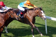 Bavarian Classic: 38 Prozent sehen Earl of Tinsdal vorne