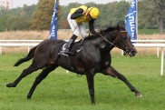 Internationales Top-Aufgebot: M?nchen lockt die Stars an