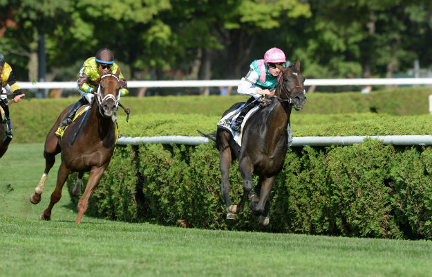 flintshire11_resize