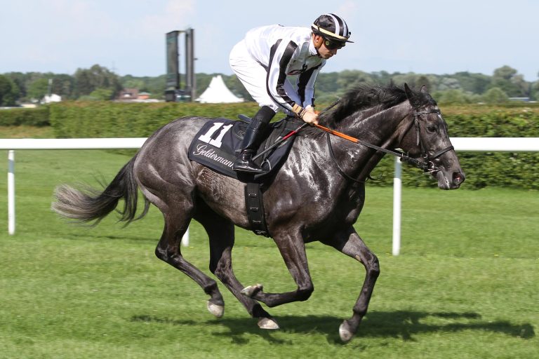„Louise“ vor Rolando – Deutsche Zweierwette in Deauville „Louise“ vor Rolando – Deutsche Zweierwette in Deauville