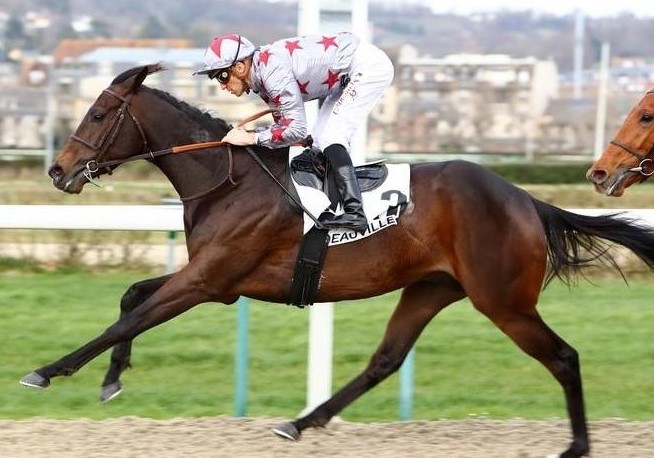 Frohsim (Quelle: france-galop.com)