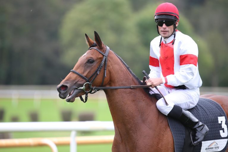 Fuscetta jetzt in Gruppe III-Rennen in Woodbine Fuscetta jetzt in Gruppe III-Rennen in Woodbine