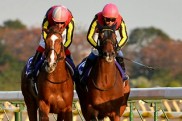 gentildonna_orfevre_gol_1
