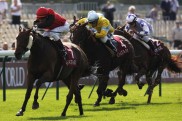 Gentoo holt sich Cadran, Brusco und Shawnee Saga weg