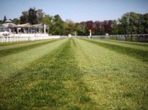 Zur Union in Köln - Boden nach Regen jetzt weich