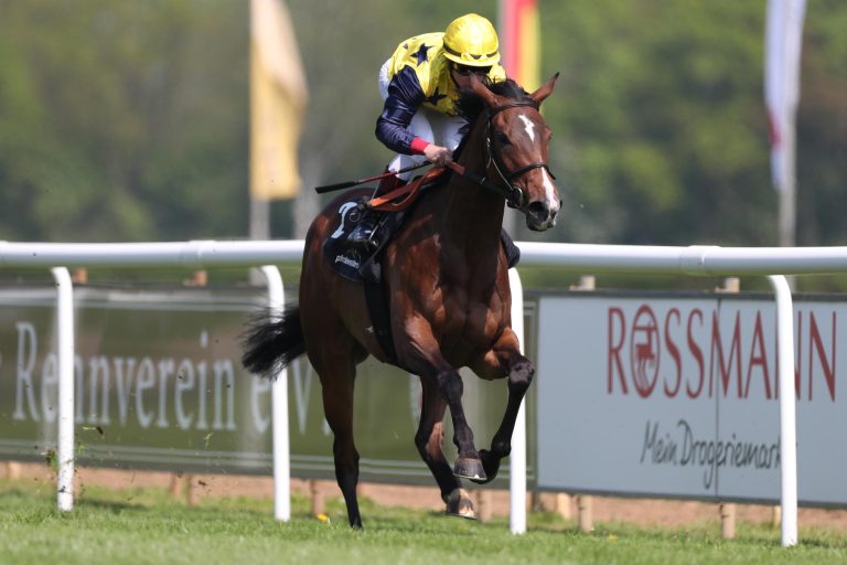 Rätselraten im „Baden-Baden Cup“ Rätselraten im „Baden-Baden Cup“