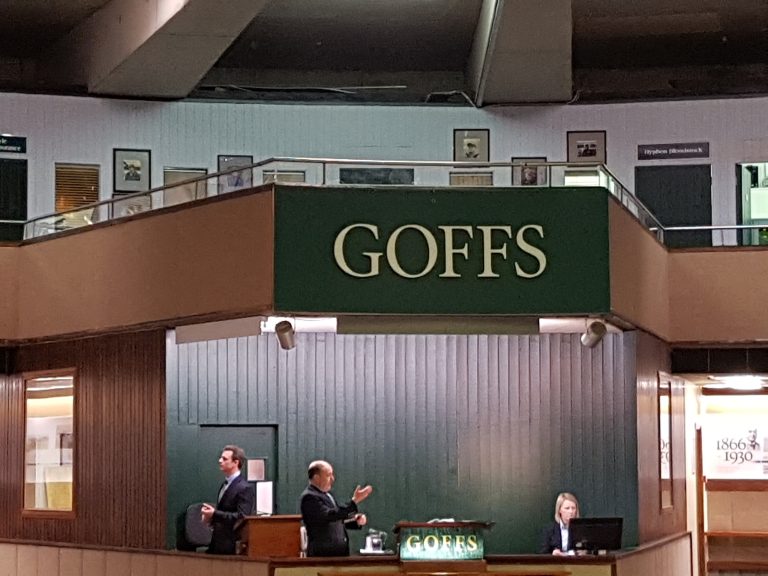 Fast eine Million ausgegeben: Stauffenberg schlägt bei Goffs doppelt zu