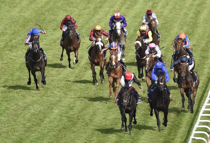 golden_horn_derby