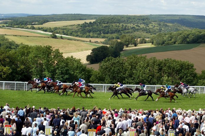 Die Rennbahn von Goodwood