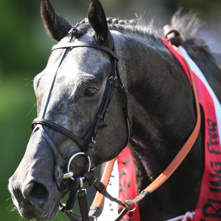Guardini knapp Zweiter – Our Ivanhowe Letzter