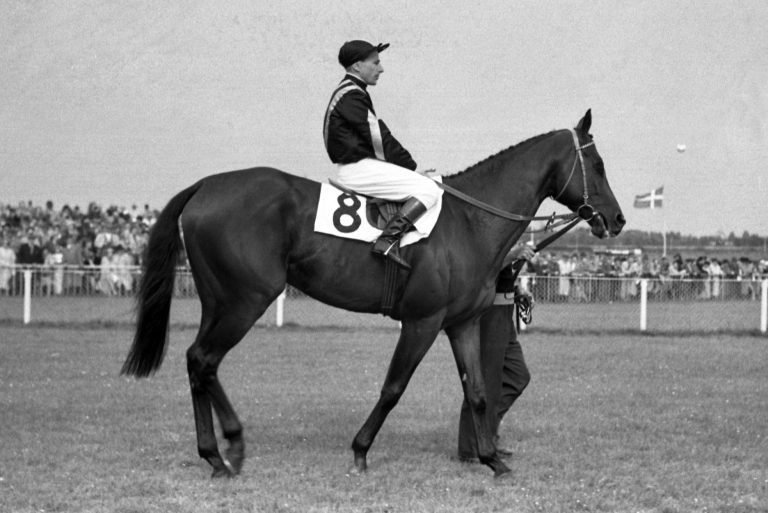 Hein Bollow: Vier Jockey-Derbysiege im Film!