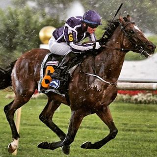 highland_reel