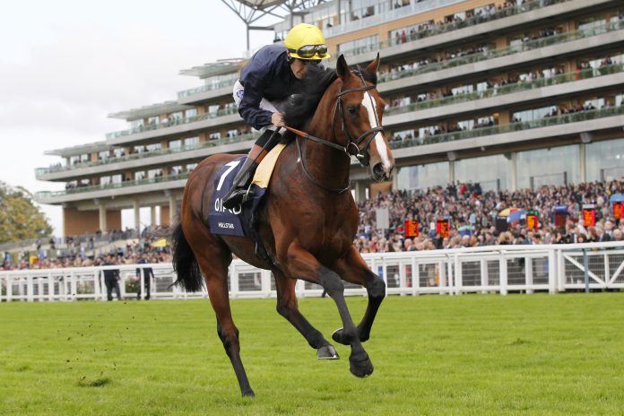hillstar