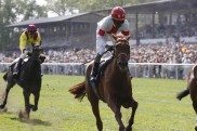 Deutsches Derby: Nach Streichung noch 62 Pferde dabei