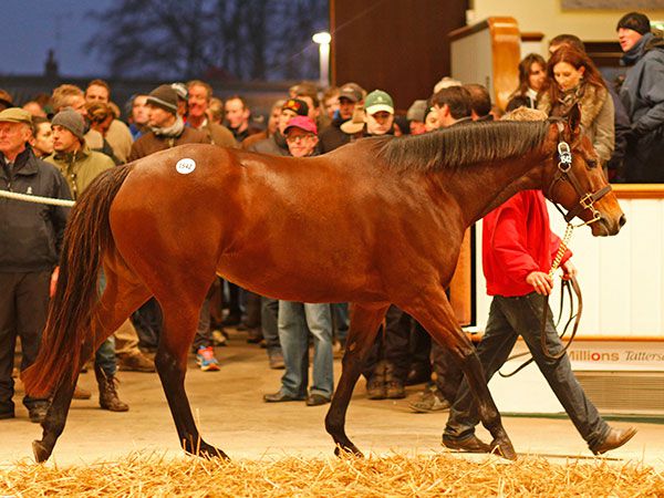 Esentepe topt Tag 1 der Mare Sale: 525.000 Gns