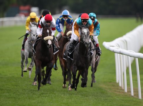 impression_hannover_neu