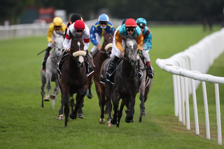 Sport-Welt TV Wett-Check zum Audi Ascot-Renntag in Hannover