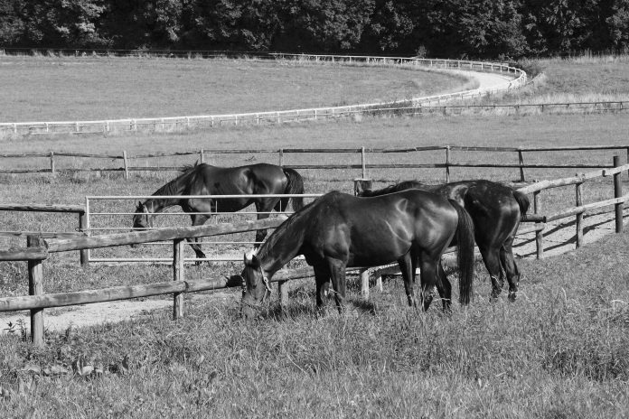 impressionen
