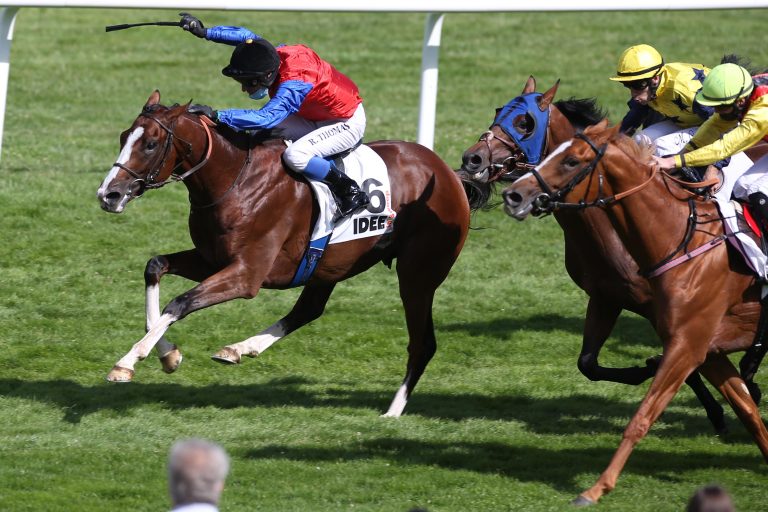 Coolmore reduziert In Swoops Taxe leicht Coolmore reduziert In Swoops Taxe leicht