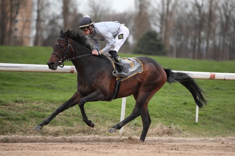 Ebbesloher Inaugural im Handgalopp