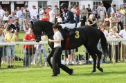 Es geht los: Dubai Racing Carnival startet am Donnerstag