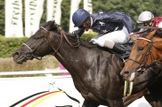 Indomito f?r Sandbahn-Listenrennen in Cagnes genannt